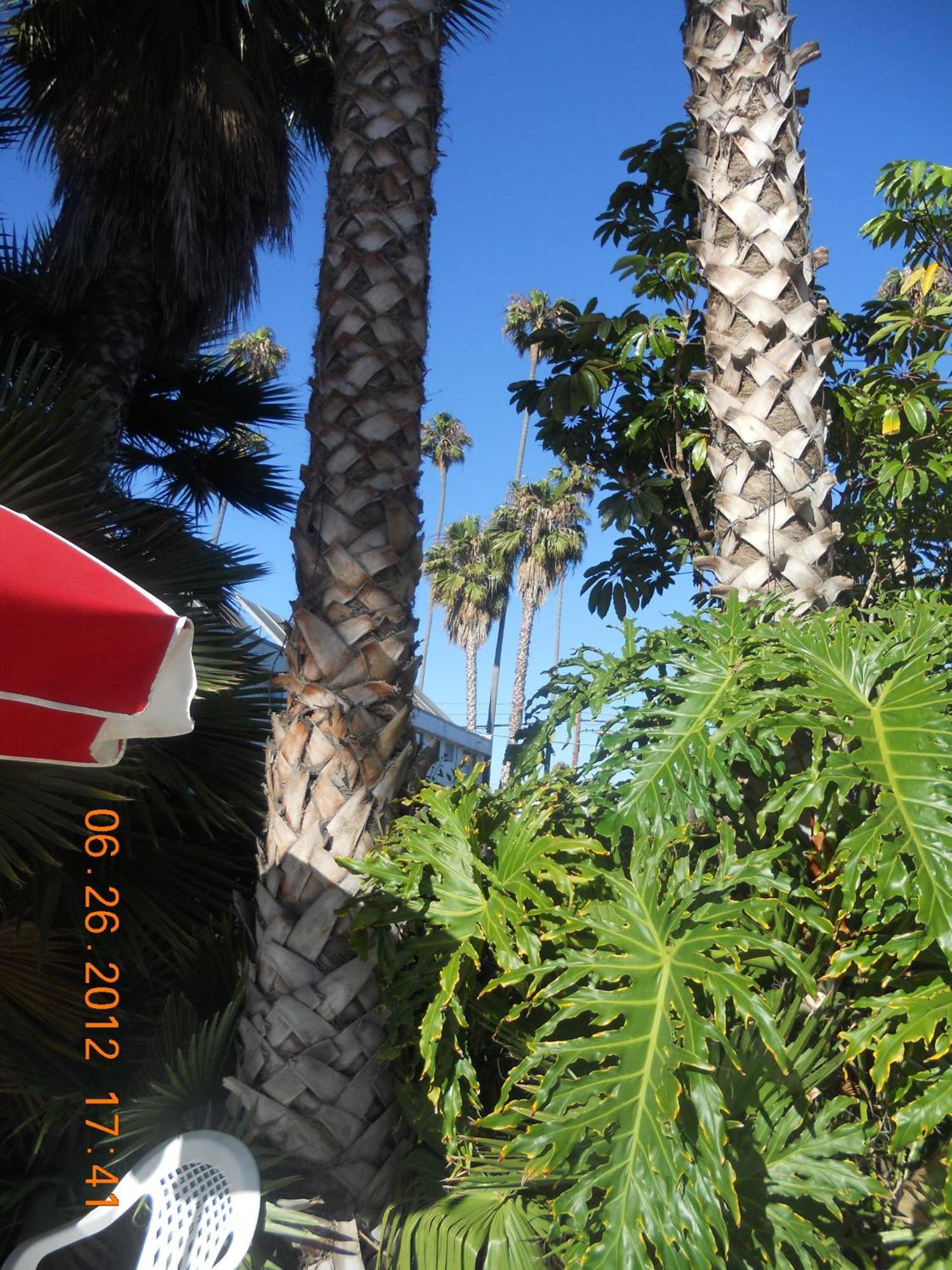 Tradewinds Airport Hotel Inglewood Exterior foto